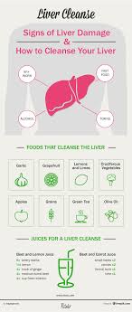 Pin On Food