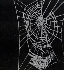 Check spelling or type a new query. Dr Peter Witt Spiders Drugs And Human Behavior