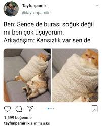 Ferda Tumer Adli Kullanicinin Ilginc Ve Komik Panosundaki Pin 2020 Komik Seyler Komik Komik Capsler