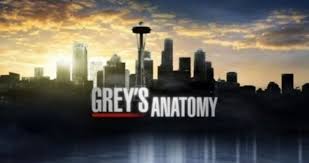 The more questions you get correct here, the more random knowledge you have is your brain big enough to g. Quiz How Well Do You Remember These 21 Grey S Anatomy Characters Her Ie