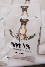 Search our extensive list of dogs, cats and other pets available near you. 200 Grooming Salon Ideas In 2021 Grooming Salon Grooming Dog Grooming Salons