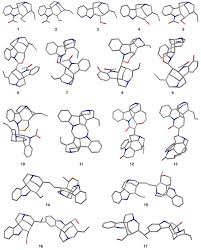 Image result for Strychnos matopensis