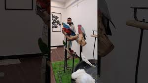 Exotic nutrition 270 enterprise drive newport news, virginia 23603 + 757.988.0301 Chandu S Exotic Pets Store Youtube