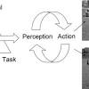 Two types of individual constraints a. 1