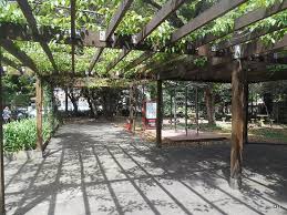 Escola pautada na participação efetiva da comunidade com eventos. Parque Mario Covas Picture Of Parque Prefeito Mario Covas Sao Paulo Tripadvisor