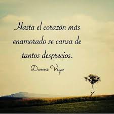 No solo te debo cosas malas, también te debo haber aprendido en carne propia, lo que es la mentira y la falsedad. 8 Ideas De Te Desprecio Frases Frases Bonitas Pensamientos