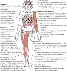 The presence of renal disease in a patient may be detected because of: Chronic Kidney Disease The Lancet