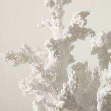 Aliwiner white coral statue resin coral tabletop decoration realistic faux branch coral sculpture home decoration beach theme party wedding decor window display 5.9'' 4.4 out of 5 stars 41 $31.99 Faux Coral Decorative Object