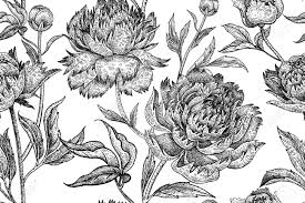 1,614,389 matches including pictures of heart, style. Peonies Seamless Floral Pattern Hand Drawing Art Black And Royalty Free Cliparts Vectors And Stock Illustration Image 122825654