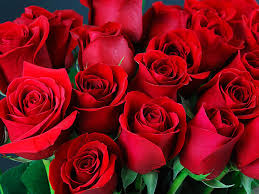 Composizione di fiori misti sulla tonalità del rosa e altri colori, con rose per aggiungere un tocco in più di eleganza e raffinatezza, con lilium e foglie azienda leader nel servizio della trasmissione di omaggi floreali, da tre generazioni operante nel mercato internazionale di fiori e piante, con un circuito di. Quante Rose Si Regalano Scopriamolo Insieme Articoli Da Lafiorista It