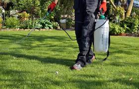 Impact (or impulse) sprinklers shoot a horizontal spray around its center, creating an adjustable circular coverage, making a clicking sound as it rotates. The Best Weed Killer Spray Sprayers For Your Lawns Grass