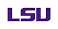 Image of How much is LSU tuition a year?