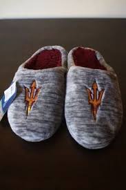 Asu