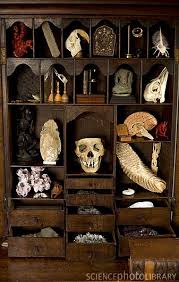 You will need a place to create your cabinet. Pin On Home Ideas