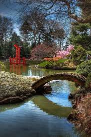 Pin On Japanese Gardens American