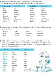 masculine and feminine nouns gender in english english