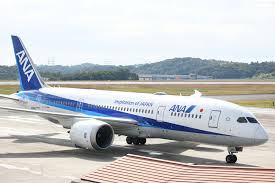 ANA、国内線でタイムセールをあす開始 8月〜10月搭乗分