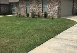 Everything from lighting and irrigation to planting, mulching. Baton Rouge Lawn Care Mowing Services Lawn Love Of Baton Rouge