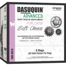 Dasuquin supports cat's joints by maintaining normal architecture and providing key nutrients. Dasuquin Advanced Br Soft Chews For Cats 6 X 84 Pkg Br Nutramax 1510157