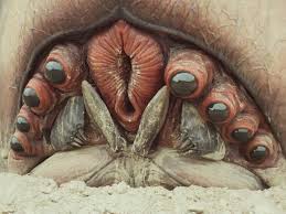 Brain Bug From Starship Troopers Starship Troopers Starship Troopers Bugs Movie Art