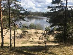 Järv on ovaalse kujuga ja 231,3 ha suur. Wikiloc Picture Of Matsimae Jarv 1 1