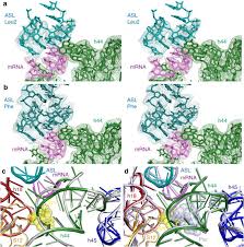 Image result for Streptomycin
