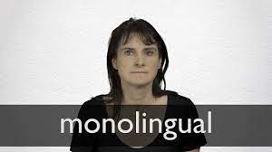 Monolingual (comparative more monolingual, superlative most monolingual) knowing or using a single language; Monolingual Definition Und Bedeutung Collins Worterbuch
