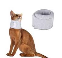 Amazon.com : Cat Cone Collar for Pet with Spinal IVDD Issues ...
