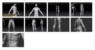 A challenge for any artist is to draw the human body and understand its anatomy. Vol 4 Body Male Anatomy For Artists 3d Master From Zero To Hero Flippednormals