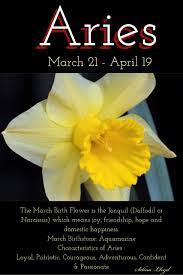 Aries March Aries Birth Flower March Birth Flower Birth Flowers Birth Flower Tattoos