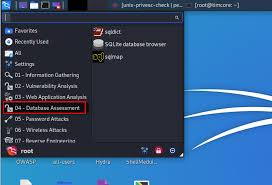 Какие инструменты предлагает Kali Linux: полный обзор