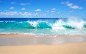 Find best ocean wallpaper and ideas by device, resolution, and quality (hd, 4k) from a curated website list. Ocean Beach Wave Wallpaper 1920x1200 31202