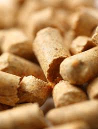 Żwirki drewniane nie tylko dla kota!