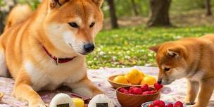 Mad-city Shiba Inu Picnic