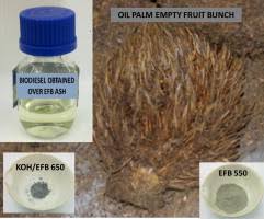 Source from global oil palm empty fruit bunch manufacturers and suppliers. Utilization Of Palm Empty Fruit Bunch For The Production Of Biodiesel From Jatropha Curcas Oil Sciencedirect