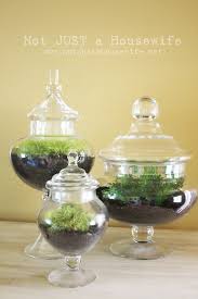 Furniture stores and home decor? 340 Apothecary Jars Ideas Apothecary Jars Apothecary Jar