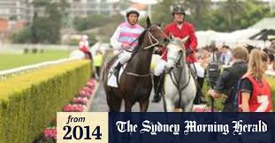 Owners keen to share joy with mare