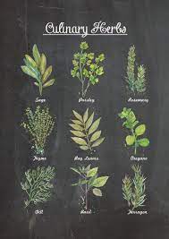 Culinary Herbs Chalkboard Wall Poster Decor By Thepaperwing Culinary Herbs Herbs Chalkboard Wall