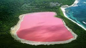 7 Amazing Things You Won T Believe Actually Exist In Nature