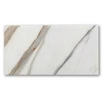 Calacatta Gold Marble 12x24 Tile Honed