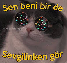 pin on mood