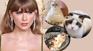Taylor Swift's Feline Friends: Meet Meredith, Olivia, and Benjamin