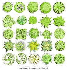 Trees And Bush Item Top View For Landscape Design Vector Icon Trees Top View Landscape Raised Bed Garden Design