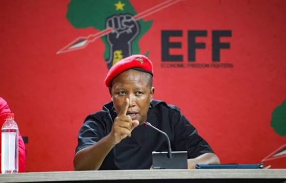 WhatsApp messages 'EXPOSE' Malema! | Daily Sun
