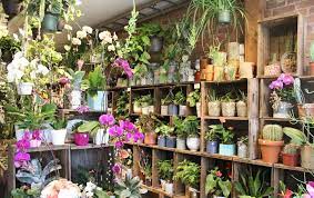 We use only the highest quality flowers in our shop. The Best Eco Friendly Flower Shops In Toronto Now Magazine