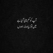 Main To Zaida Bura Hun Poetry In 2020 Poetry Quotes In Urdu Urdu Love Words Urdu Funny Poetry