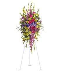 Birthday, love and romance, sympathy, get well, congratulations T249 2a Shefalitayal