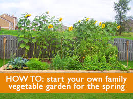 Family food garden recommends hoop tunnels. 5 Tips On How To Start A Family Vegetable Garden This Spring