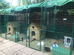 Build a floor for a more permanent run. Rabbit Friendly Housing Manufacturers