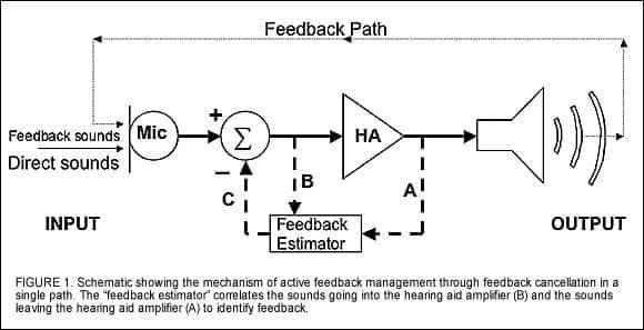 Changing with the Times: Additional Criteria for a Good Feedback  Cancellation Algorithm | The Hearing Review